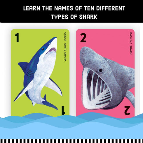 Mudpuppy Go Shark! – Ferocious Version of Classic Kids Go Fish Card Game with Colorful Illustrations of Sharks for Children Ages 4 and Up, 2-4 Pla...