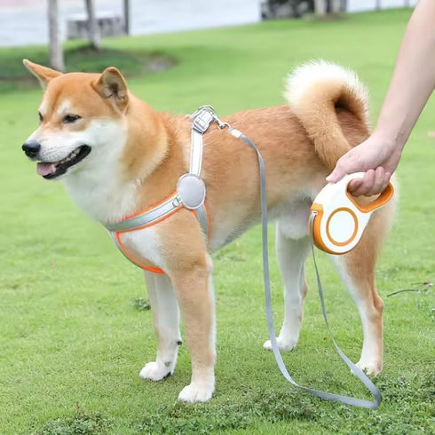 Time4Pets New Retractable Dog Leash Tangle-Free | 16ft Strong Nylon Tape | One-Handed Braking System | Supports up to 30 kg / 65 lb | 180° Non-Coi...