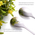 AnSaw Elegant Silver Leaf Coffee Spoons - 10-Piece, 4.7" Mini Stainless Steel Espresso & Dessert Tea Spoons, Perfect for Demitasse & Small Serving...