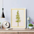 3 Pieces Christmas Pine Trees Stencils Reusable Pine Drawing Stencils Winter Holiday Fir Tree Templates Christmas Woodland Painting Stencils for D...