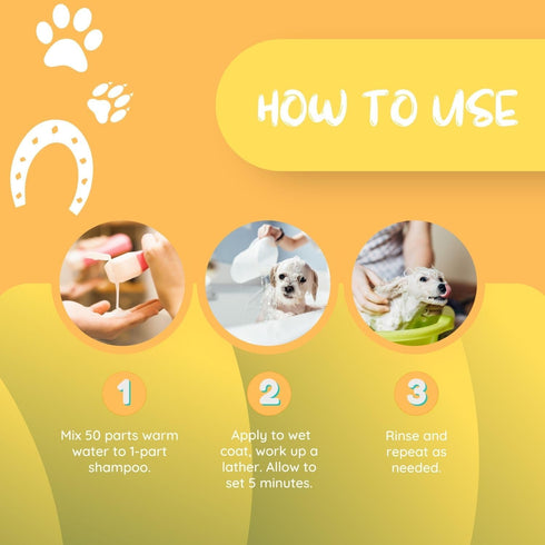 Kelco by Laube Color Enhancing Pet Shampoo - Pro Gold Shampoo for Yellow, Tan, Amber & Brown Coats - Natural, Hypoallergenic Formula for Grooming ...