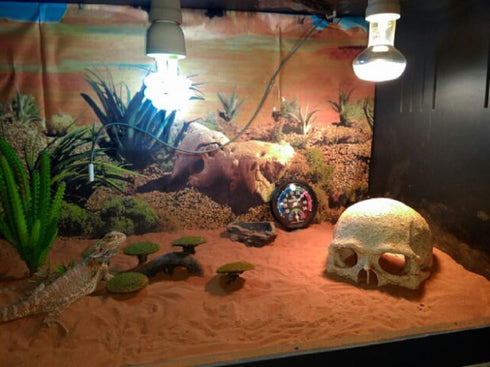 Hewnda Aquarium Decor Resin Artificial Head Skeleton Decoration - Aquarium Otaru Aquarium Decorative Cave Landscape Pet Reptile House...