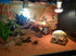 Hewnda Aquarium Decor Resin Artificial Head Skeleton Decoration - Aquarium Otaru Aquarium Decorative Cave Landscape Pet Reptile House...