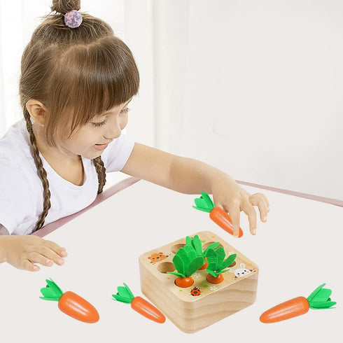 Wooden Toys for 1 2 3 Year Old Baby Boys and Girls, Montessori Toy Carrot Harvest Game Shape & Sorting Matching Puzzle, Educational Developmental ...