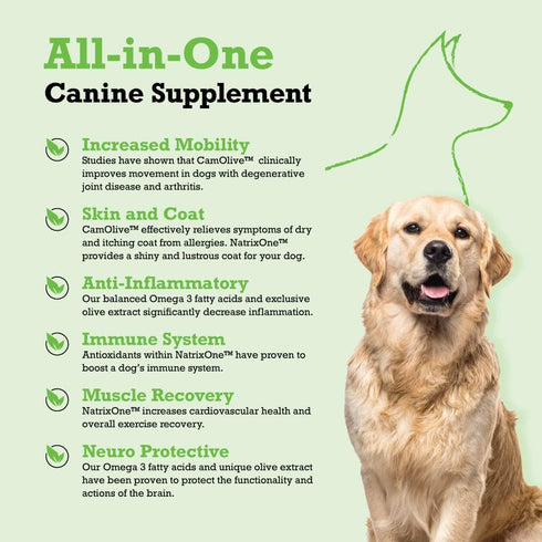 Camelina Oil for Dogs, Dog Skin and Coat Supplement All-Natural Supplements, Support Hearts, Joints, Coats, Skin and Anti-inflammatory Systems, Pr...