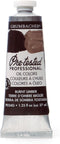 Grumbacher Pre-Tested Oil Paint, 37ml/1.25 Ounce, Burnt Umber (P024G)...