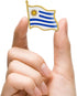 12/24/50/100Pcs Uruguay Flag Lapel Pins Bulk - Metal Uruguayan Brooch Badge Souvenir for Men Women Clothes Bags Hats...