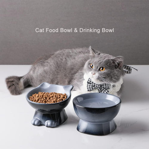 Nihow Elevated Cat/Dog Bowls: 5 Inch Ceramic Raised Cat Food & Water Bowl Set for Protecting Pet's Spine - Feeding & Watering Supplies for Pets - ...