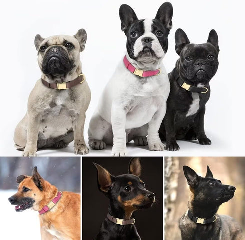 Beirui Genuine Leather Dog Collar with Quick Release Metal Buckle, Comfortable Leather Collar for Small Medium Large Dogs, Heavy Duty Classic Pet ...