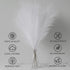 7 PCS Faux Pampas Grass, 23"/60cm White Pampas Grass Decor,7 Branches | Each Stem Fluffy Small Pompous Grass for Vase Filler in Table Vase Decor f...