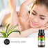 Vetiver Essential Oil, 100% Pure Natural Aroma Vetiver Oil for Diffuser (10ML)...