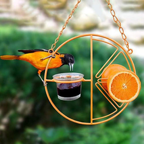 Oriole Bird Feeder, Hanging Metal Bird Feeder,Dtached Bowl Design,Orange Fruit Feeder,Great for Garden,Outdoor,Gift...