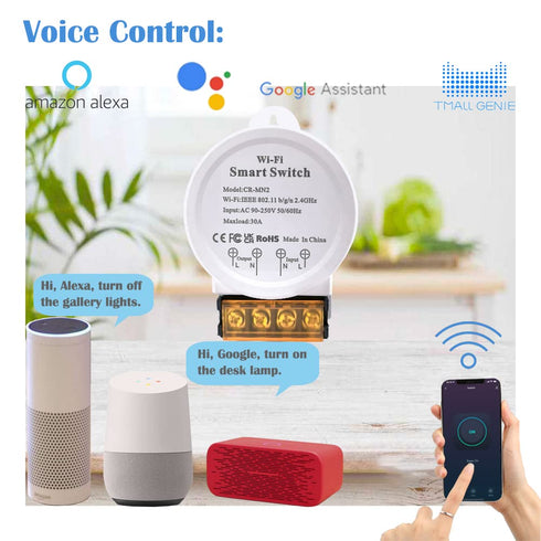 30A Hight Power WiFi Smart Switch,Compatible with Alexa/Google Home, APP Remote Control, Voice Control, Timer Function, DIY Mode, No Hub Required....