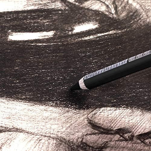 Charcoal Pencil Set - 12pcs/pk - Black Free Cutting Paper Handle Charcoal Pencil C7350 (Medium)...