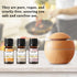 EUQEE - 6pcs Premium Fragrance Oils Spice Gift Set, Sandalwood, Harvest Spice, Gingerbread, Pumpkin Pie, Bay Rum, Snickerdoodle, 10 ML Fragrance O...