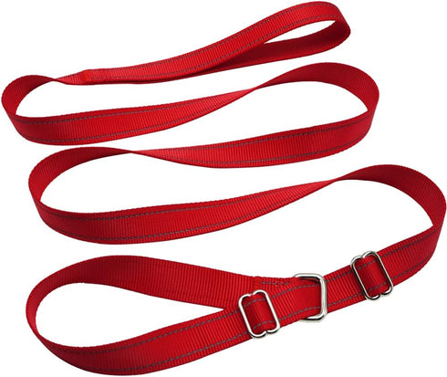 6FT Slip Lead Dog Leash Anti-Choking, Reflective Strong Nylon Flat Dog Leash, No Pulling Dog Training Leash for Small Medium and Large Dogs/Pets (...