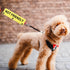 JXGZSO Not Friendly Ask to Pet Dog Lead Give Me Space Dog Leash Wrap Rescue Dog Lead Cover (NOT FRIENDLY DLS)...