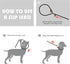 Fida Durable Slip Lead Dog Loop Leash, 6 FT x 1/2" Heavy Duty , Comfortable Strong Rope Leash for Large, Medium Dogs, No Pull Pet Training Leash w...