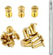 DGOL 12 Pairs Brass Backscrews with Hole Punch Golden Leather Fasteners Sturdy Binding Rivets Belt Strap Collar Back Screws Length (0.473 inch)...