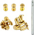 DGOL 12 Pairs Brass Backscrews with Hole Punch Golden Leather Fasteners Sturdy Binding Rivets Belt Strap Collar Back Screws Length (0.473 inch)...