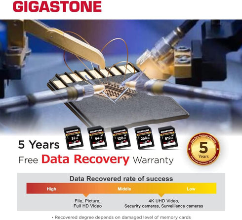 Gigastone 32GB SD Card, 4K Camera Extreme, A2 V30 SDHC Memory Card High Speed 4K Full HD Video Compatible with Canon Nikon Sony Pentax Kodak Olymp...