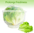 Trenton Gifts Lettuce And Vegatable Storage Keeper | 7" X 8"...