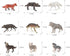 Wildlife Wolf Model Set 9PCS Arctic Wolf, King Siberian Wolf, Green Wolf Party Favors Toys for Boys Girls Kids, MQ20240124YSDW-2...