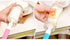 INVODA 4PCS Bottle Brush,Bottle Washer Set Long Sponge Bottle Cleaning Brushes Baby Bottle Cleaner Brush, Nipple Brush (4 pcs)...