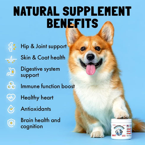 Dog Vitamins - 120 Multivitamins Chews w/Glucosamine Chondroitin, Probiotics Digestive Enzymes and Omegas - Supplement for Overall Health - Joint ...