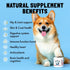 Dog Vitamins - 120 Multivitamins Chews w/Glucosamine Chondroitin, Probiotics Digestive Enzymes and Omegas - Supplement for Overall Health - Joint ...