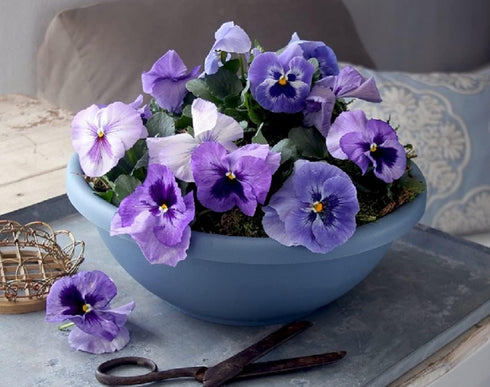 The HC Companies 14 Inch Large Garden Bowl Planter - Shallow Plant Pot with Drainage Plug for Indoor Outdoor Flowers, Herbs, Slate Blue...
