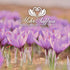 Mehr Saffron, Premium All Red Saffron/1/9 Oz (3 Gram)...