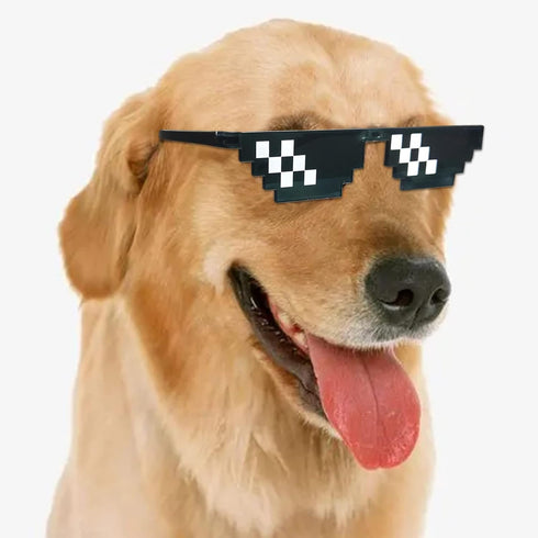 Lorigun Thug Life Glasses Pixel Sunglasses for Party, Deal with it Glasses Bachelor Party Decor...