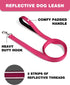 6ft Dog Leash for Small Medium Large Dogs | One-Sided Reflective Nylon | Padded Handle | 1 inch Wide | Hot Pink...