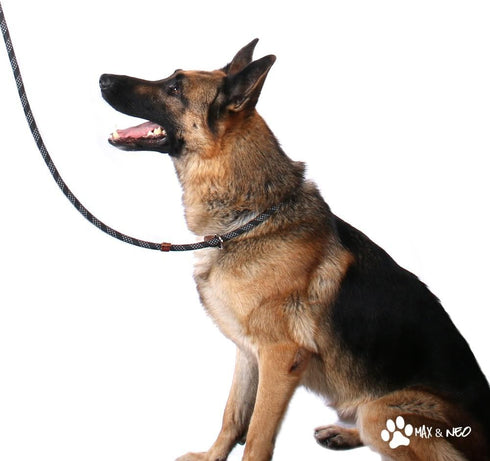 Max and Neo Rope Slip Lead Reflective 5 Foot - We Donate a Leash to a Dog Rescue for Every Leash Sold (Black, 5FT X 1/2")...