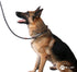 Max and Neo Rope Slip Lead Reflective 5 Foot - We Donate a Leash to a Dog Rescue for Every Leash Sold (Black, 5FT X 1/2")...