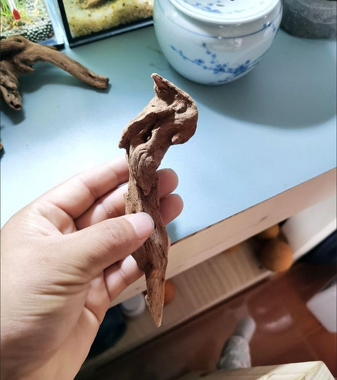 set of 4 4-6'' small natural driftwood for aquarium Styling carefully selected natural aquarium decor driftwood for reptile tank Reptile tank wood...