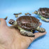 Small Turtle Figurines for Fairy Garden Accessories Outdoor Decor Miniature Sea Turtle Statue for Outside Garden Pond Decorations Animals Figure S...