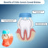 Kids Sampler Pack - 1 Baby, 1 Youth and 2 Adults Soft- 3 Sided Toothbrush for Sensitive Gums - Manual Toothbrushes - Oral Care...