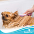 Pet Massage Brush, Soft Silicone Shower Brush for Massage Dogs and Cats- Comfortable Handle Bath Brush for Shedding- Gentle Massage Pet Comb- Pink...