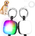 Rechargeable Dog Lights 2Pack LED Dog Collar Lights Clip on with 4 Lighting Modes Dog Safety Red Lights Harness Leashes Light for Dog Night Walkin...