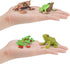 Wildlife Animal Frog Model Playsets 4 PCS Red Eye Tree Frog Triangular Leaf Frog Figures Figurine Family Party Favors Supplies Cake Toppers Set To...