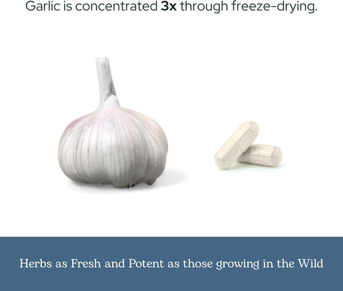 Eclectic Institute Raw Freeze-Dried Non-GMO Garlic | Antioxidants for Health, Helps Maintain Healthy Circulation | 90 CT...