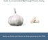 Eclectic Institute Raw Freeze-Dried Non-GMO Garlic | Antioxidants for Health, Helps Maintain Healthy Circulation | 90 CT...