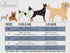 ARING PET Velvet Dog Collar and Leash Set, Soft Dog Collar and Leash, Adjustable Collars for Dogs...