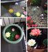 7Pcs 3.9 Inch Artificial Lotus Flower Artificial Flower Pool Aquarium Decoration Eternal Flower Artificial Flower (White)...