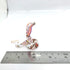 Snake/Cobra Miniature Figurines Animals Hand Blown Glass Art Collectible Gift Home Decorate (Multi-Red)...