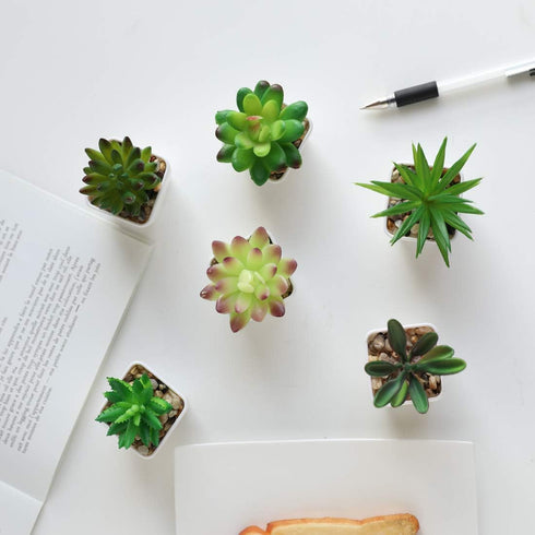 Nubry Mini Fake Succulent Plants Artificial Plastic Succulents Potted Faux Assorted Plants for Home Office Table Decoration, Set of 6 (White Plast...