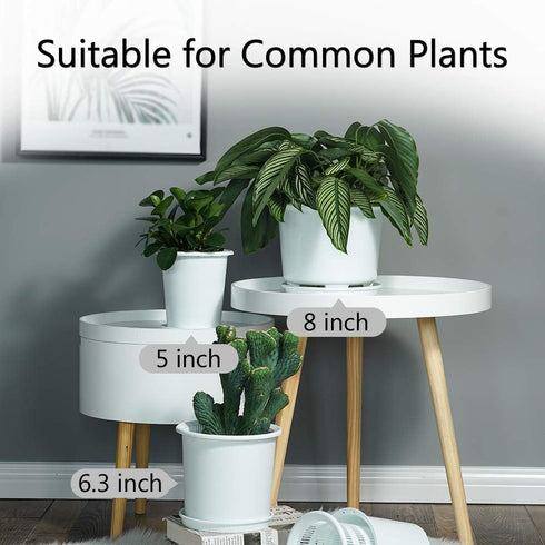 8 Inch Orchid Pots with Holes and Saucers,Double Layer Plastic Large Orchid Planter Pot,Flower Pots for Indoor Outdoor Flower Plants,Orchids,Herbs...