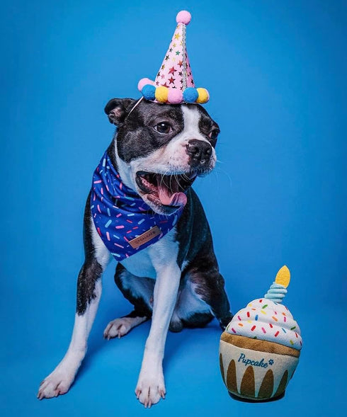 Nestpark Dog Birthday Toy - Pup Cake Puppy Cupcake Plush Squeak and Crinkle Gift...
